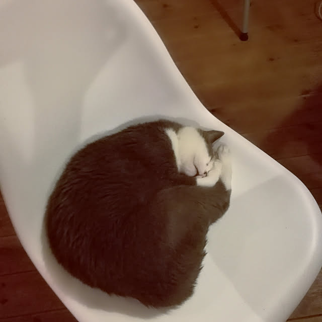 Maki-nekomamireさんの実例写真