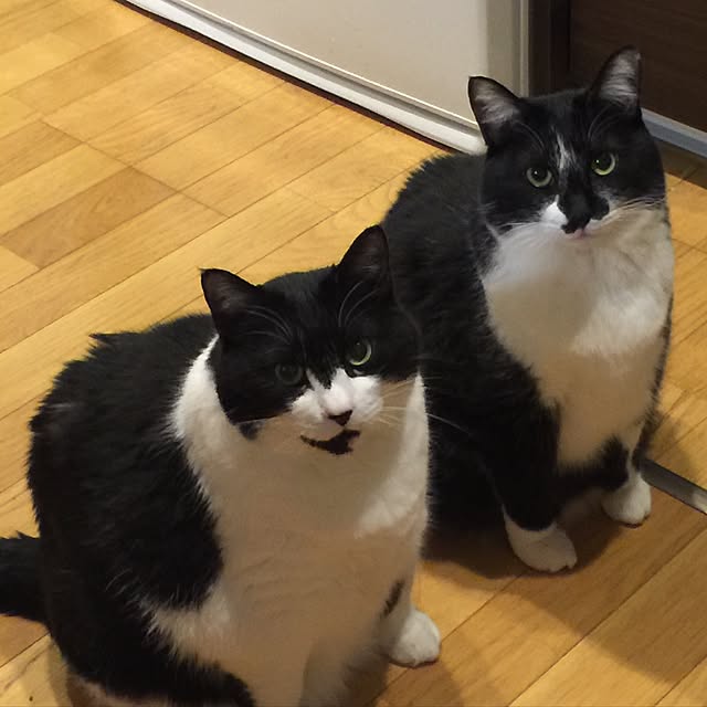 aketaさんの実例写真