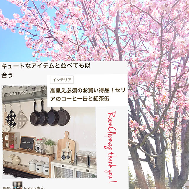 kotoriさんの実例写真