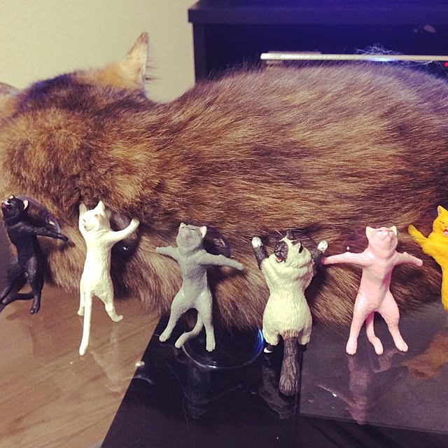 yufullfullさんの実例写真