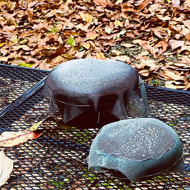 chacoさんの部屋