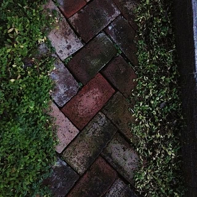 dicekbeetleさんの実例写真