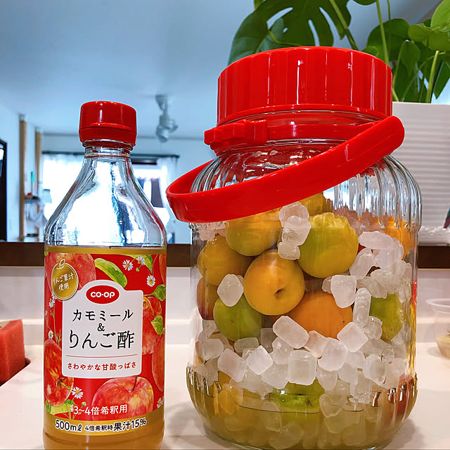 chacoさんの実例写真