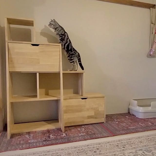 lovepeaceさんの部屋