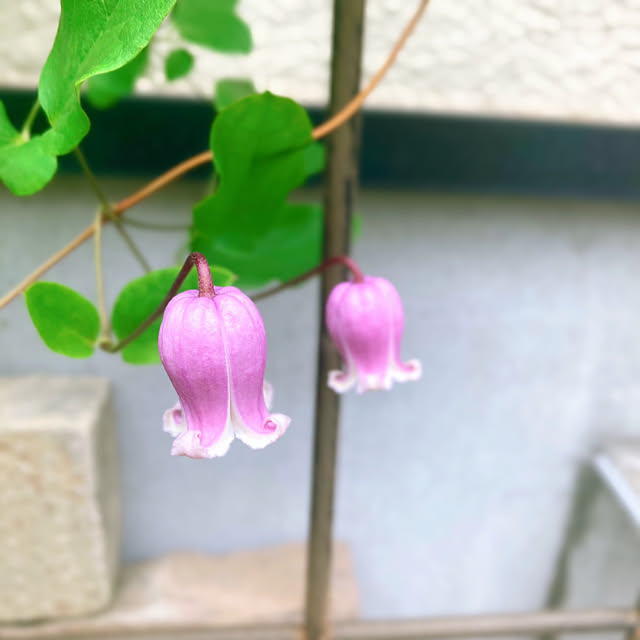 sunabaさんの部屋