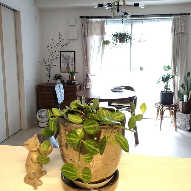 Yoko622さんの実例写真