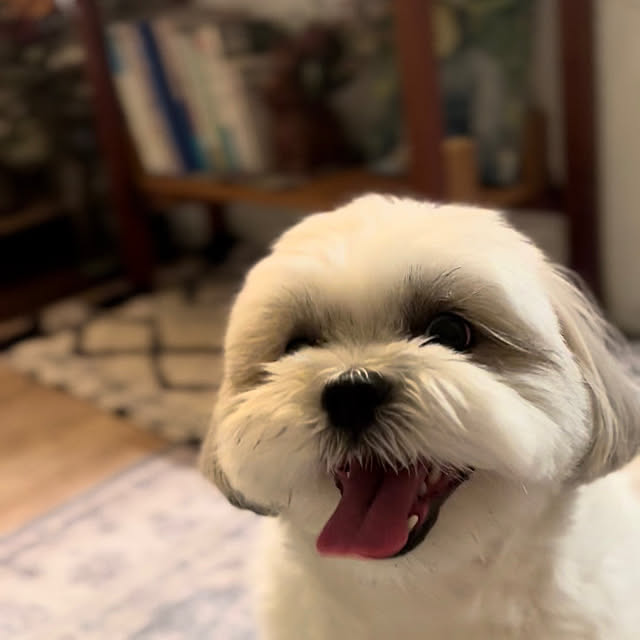 akさんの部屋