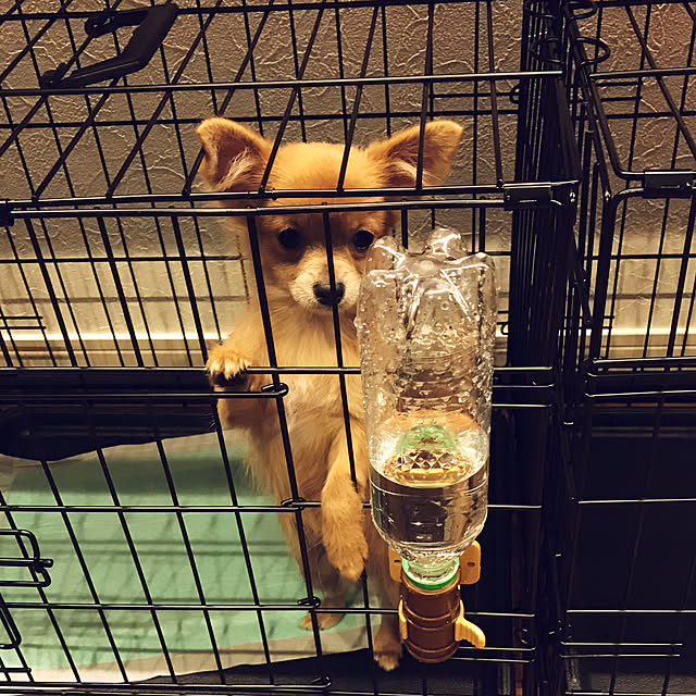 kaekaeさんの実例写真