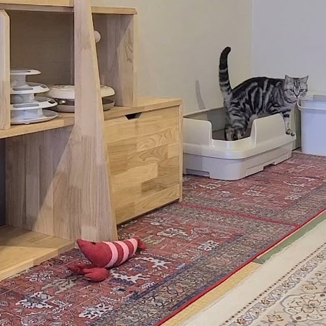 lovepeaceさんの部屋