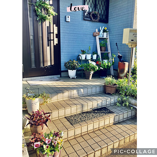 CoCo0617さんの部屋
