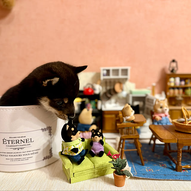 aboruさんの部屋