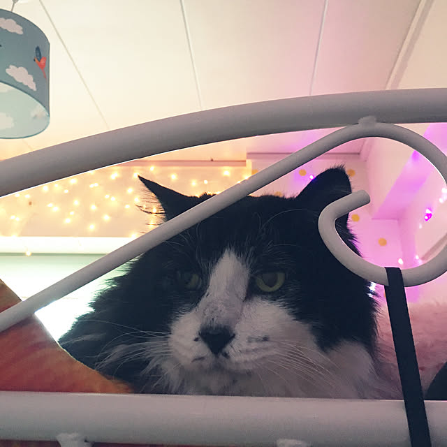 kanaさんの実例写真