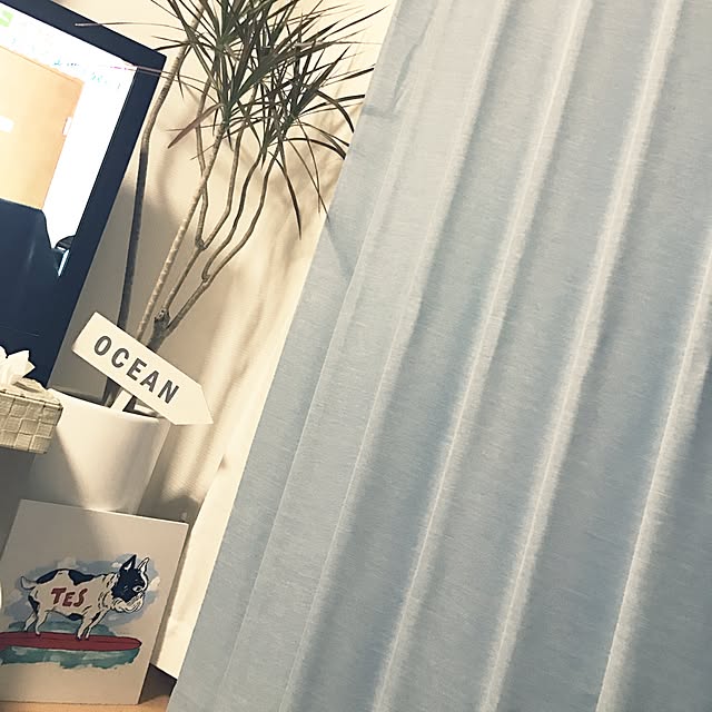 1011dmさんの実例写真