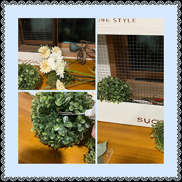 cotaさんの部屋