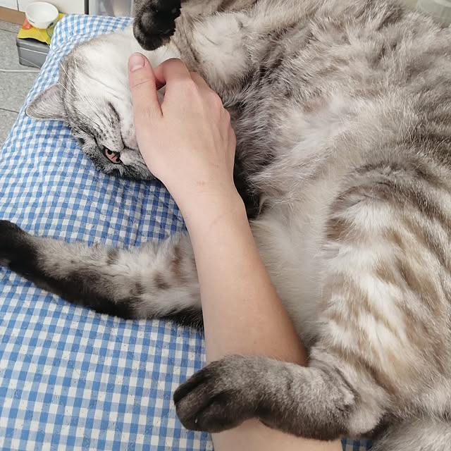 Manaさんの実例写真