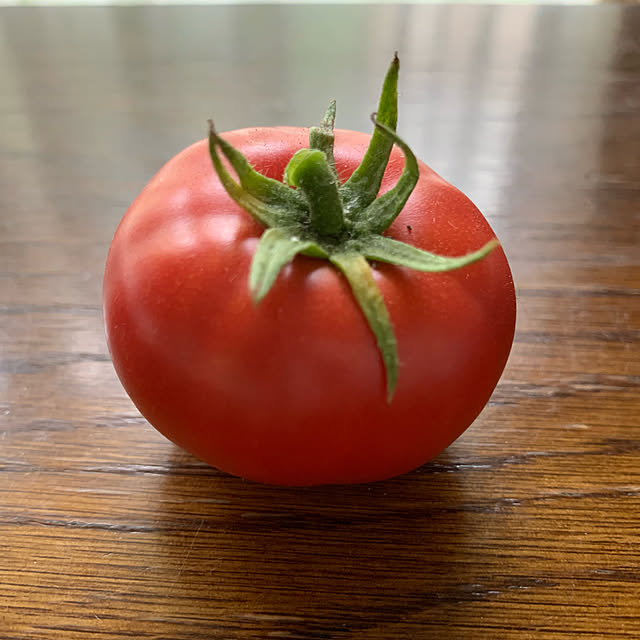 noinoi99さんの実例写真