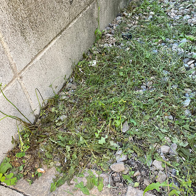 alchoさんの部屋