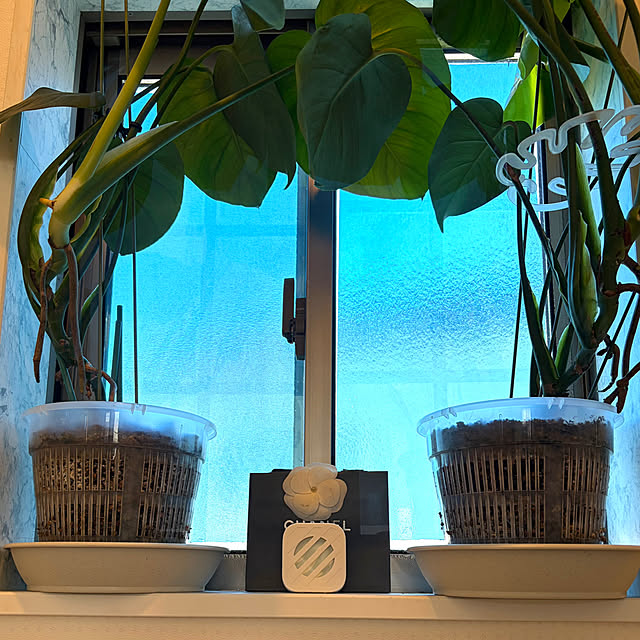 MOMOMAMAさんの実例写真