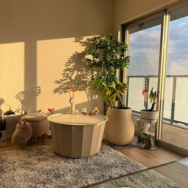 mu-daysさんの実例写真