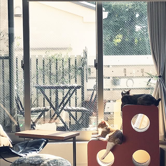 y.さんの実例写真