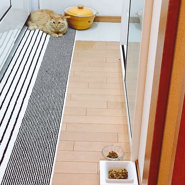 Ryokoさんの実例写真