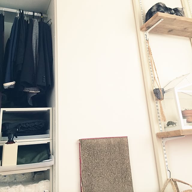 mikomaruさんの実例写真