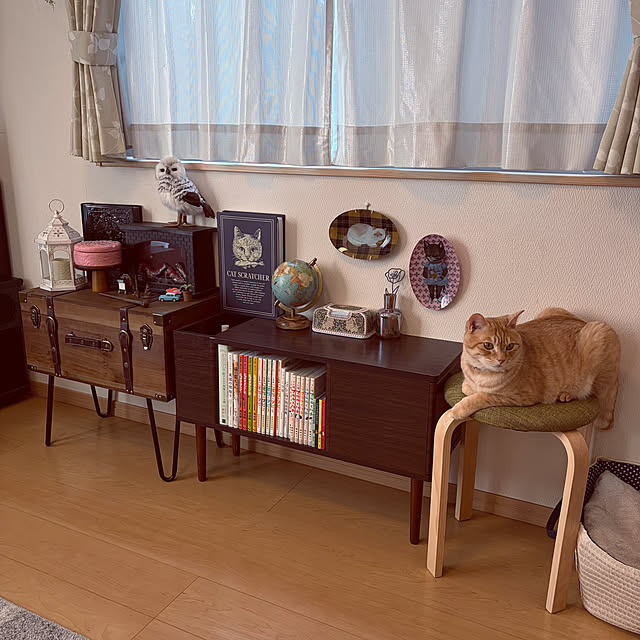 chiiさんの部屋