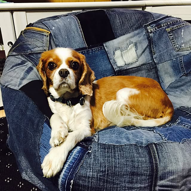 Megumiさんの実例写真