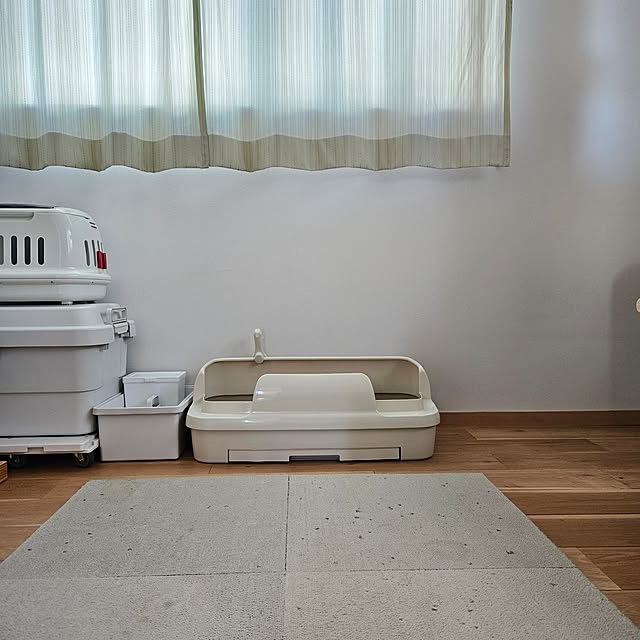 koyurizuさんの部屋