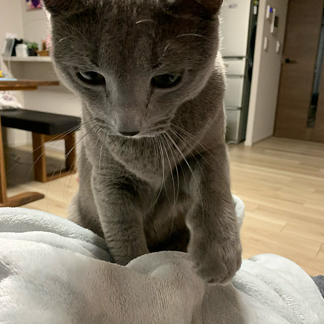 sayuuuさんの実例写真