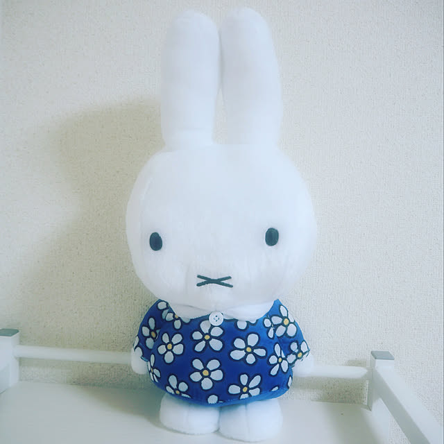 Komomoさんの実例写真