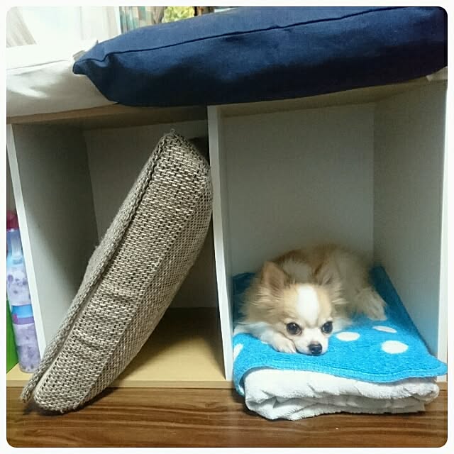 porinさんの実例写真
