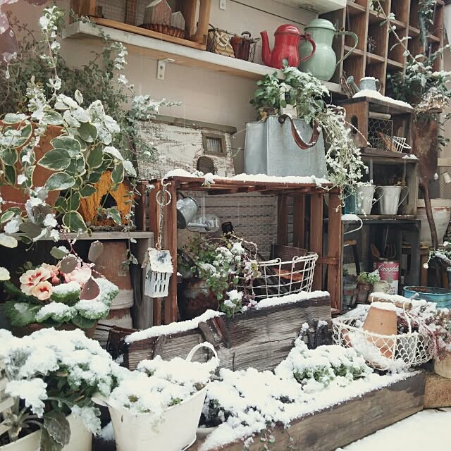 kokkomachaさんの実例写真