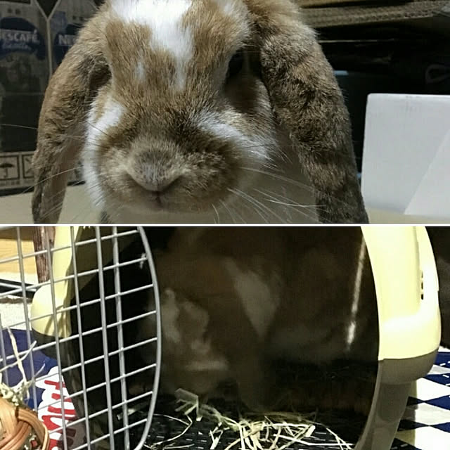 usamamaさんの実例写真