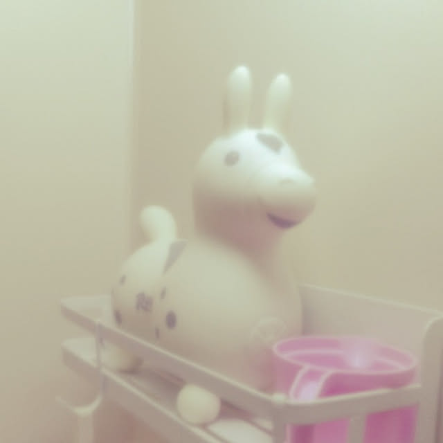 バス/トイレ/ロディちゃんのインテリア実例 - 2022-07-10 20:48:27