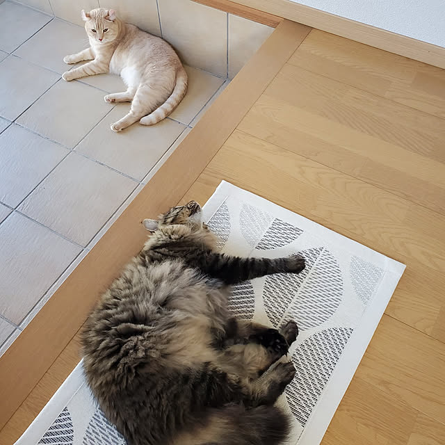 makoさんの実例写真