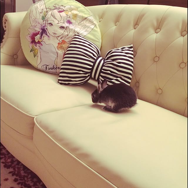 s2.p.oさんの実例写真