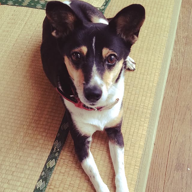 Enjoy7さんの実例写真