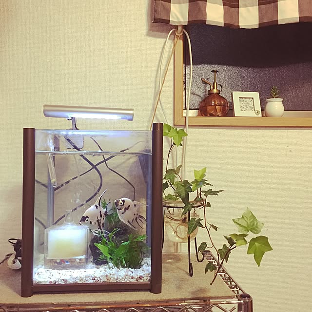 cyaroさんの実例写真