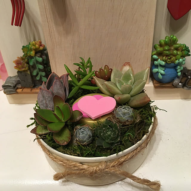 shigetanさんの実例写真