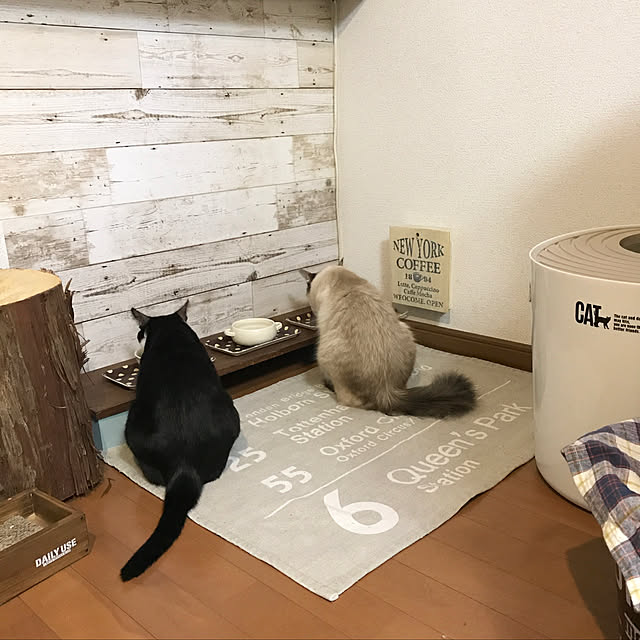 kazaneさんの実例写真