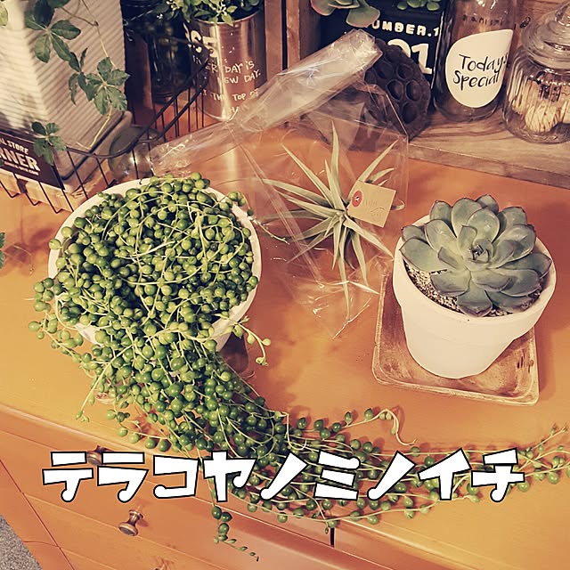 masarinn.さんの実例写真