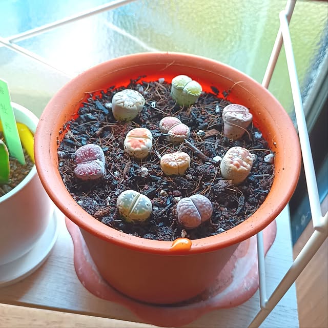 tomo5さんの部屋