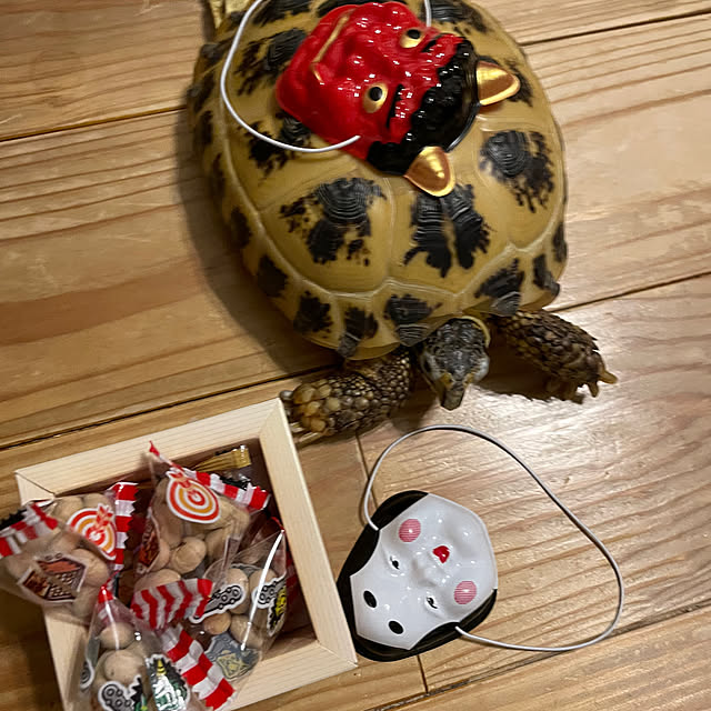seaさんの実例写真