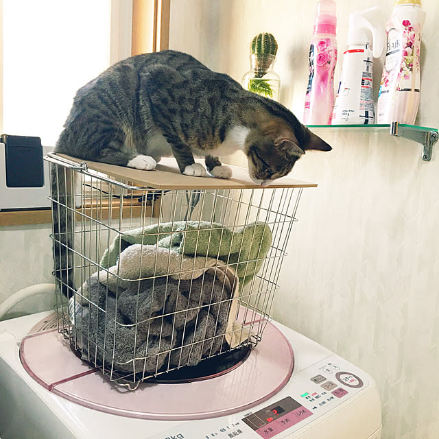 nobikoさんの実例写真