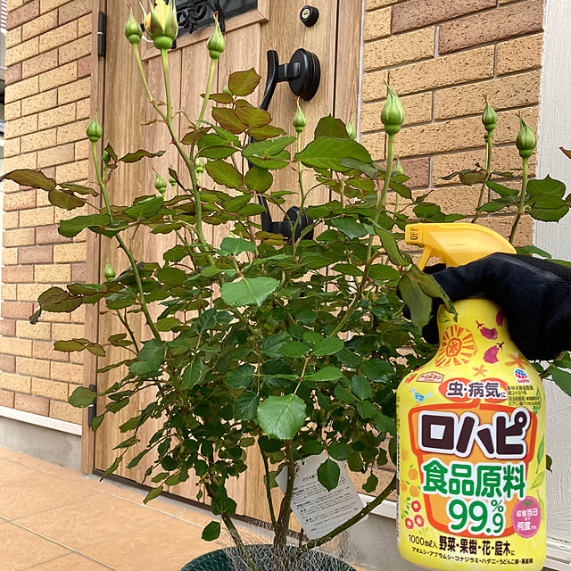 kuroさんの部屋
