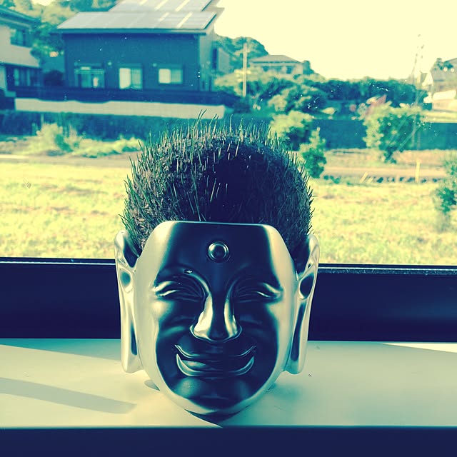 m4さんの実例写真