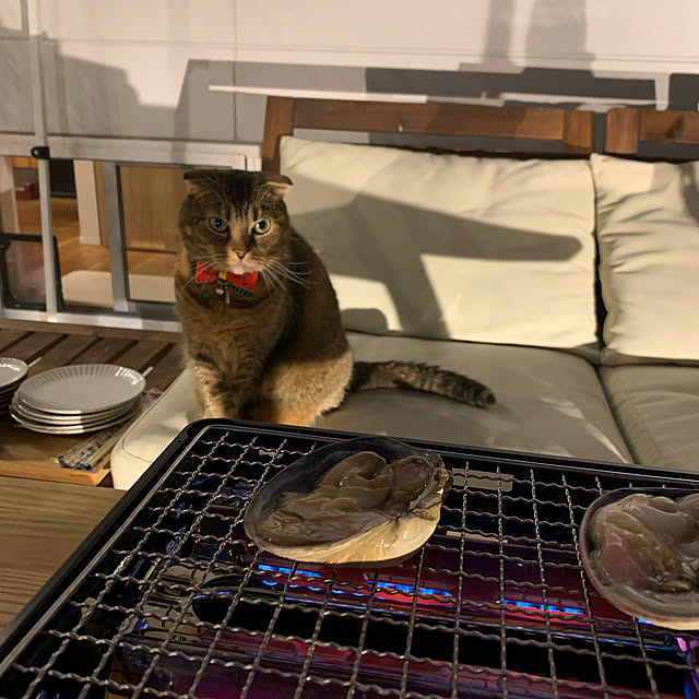 marikoさんの実例写真