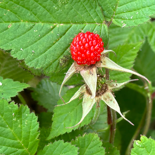 mizucchiさんの部屋