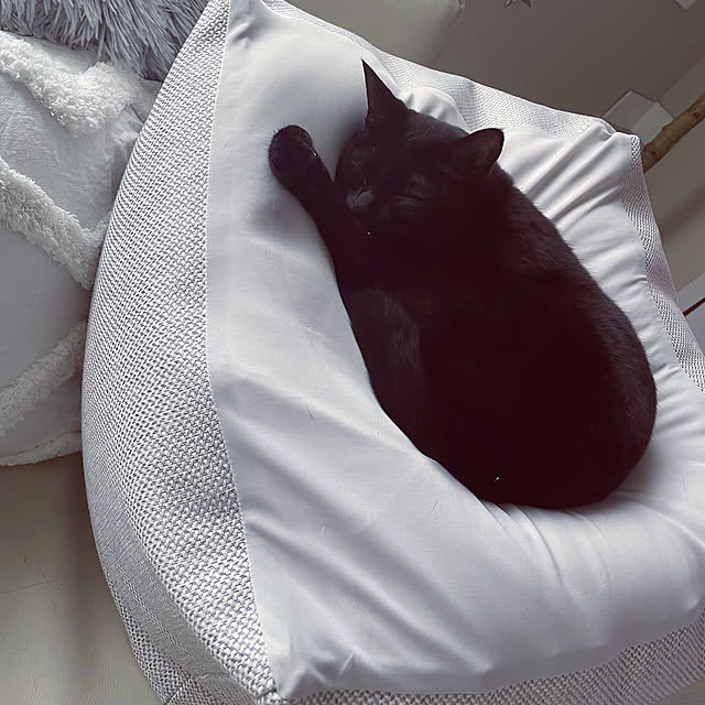 Yuさんの実例写真